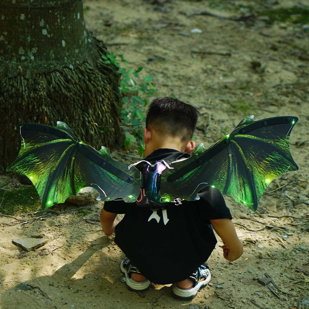 Butterfly Wings