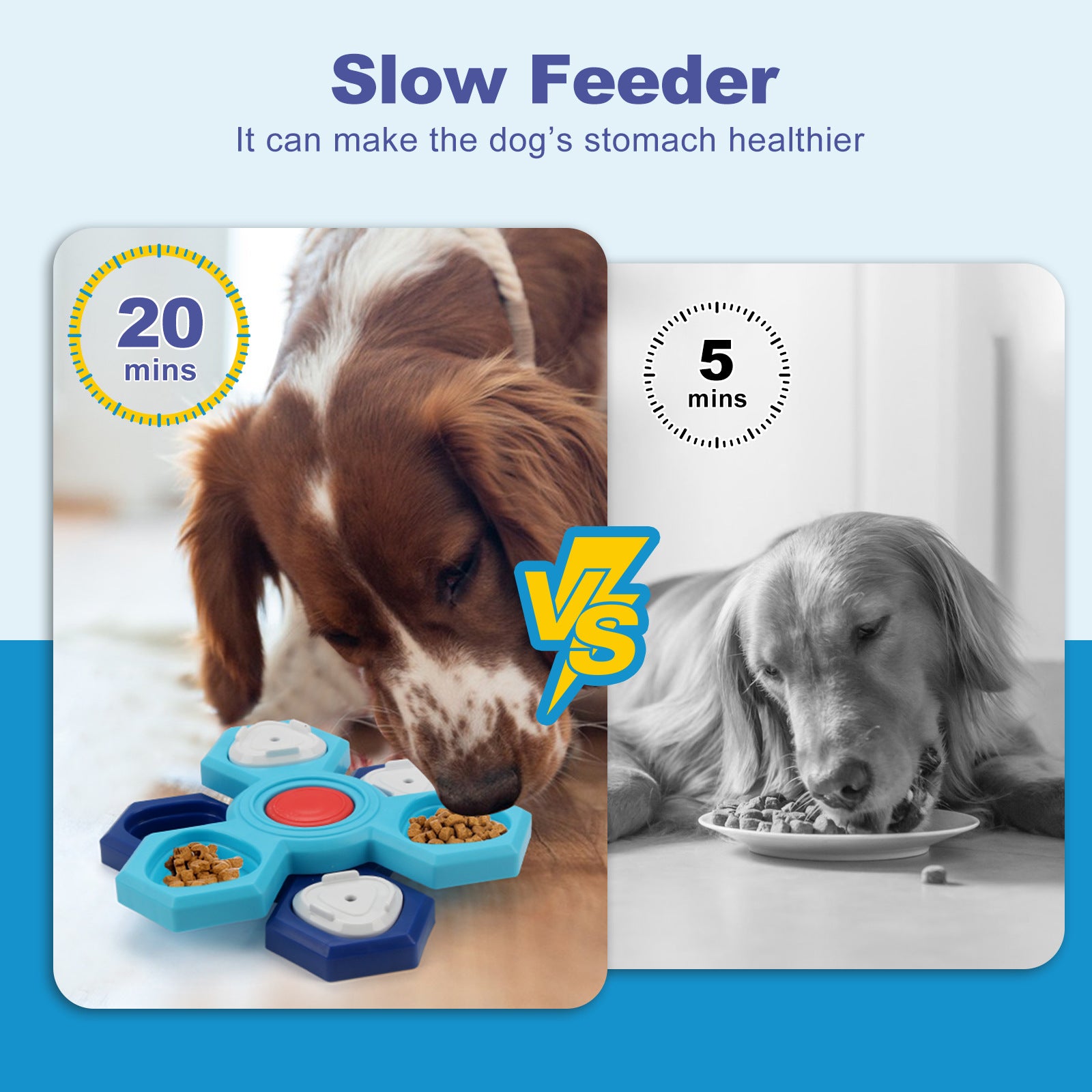 4 Layers Slow Feeder Puzzle Dog Bowls Assemble